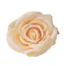 Cap de trandafir artificial, 10cm - Șampanie