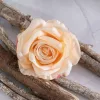 Cap de trandafir artificial, 10cm - Șampanie