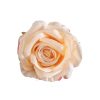 Cap de trandafir artificial 10cm – Șampanie  