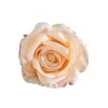 Cap de trandafir artificial, 10cm - Șampanie