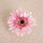 Cap de gerbera artificială 9cm – Roz pal  