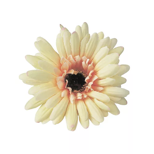 Cap de gerbera artificială, 9cm - Crem