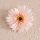 Cap de gerbera artificială 9cm – Roz pudrat  