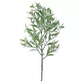 Ramură artificială de ruscus, 54cm