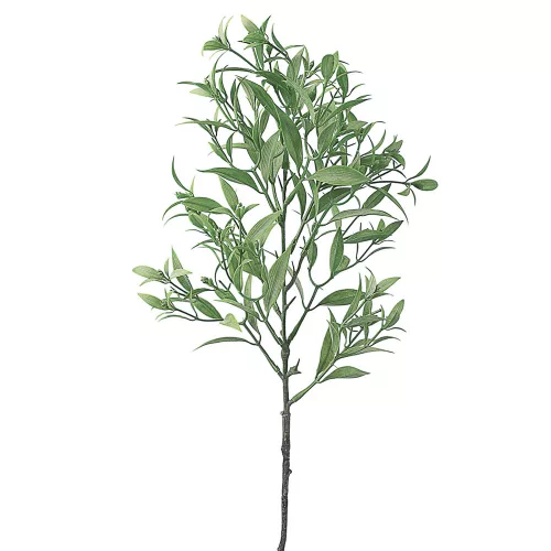Ramură artificială de ruscus, 54cm