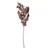 Ramură de eucalipt, 44cm - Maro închis
