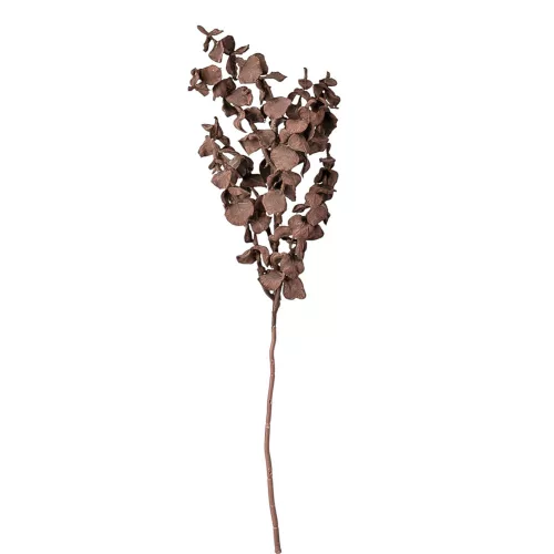 Ramură de eucalipt, 44cm - Maro închis