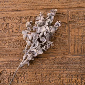 Ramură de eucalipt, 44cm - Maro pudrat