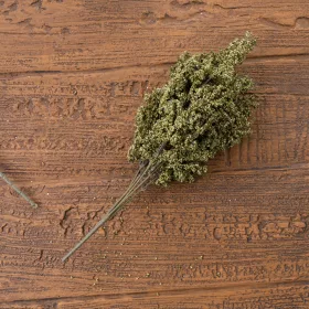 Ramură cu bobițe, 39cm - Verde