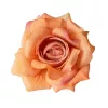 Cap de floare de trandafir din mătase, 8cm - Șampanie