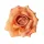 Cap de floare de trandafir din mătase, 8cm - Șampanie