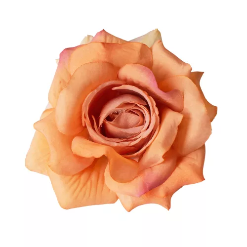 Cap de floare de trandafir din mătase, 8cm - Șampanie