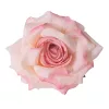 Cap de floare de trandafir din mătase, 8cm - Roz deschis