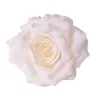 Cap de floare de trandafir din mătase, 8cm - Ecru