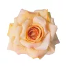 Cap de floare de trandafir din mătase, 8cm - Portocaliu deschis