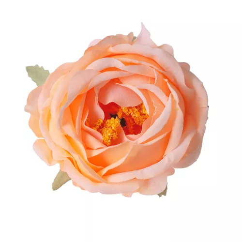 Cap de floare de bujor din mătase, 10cm - Șampanie