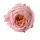 Cap de floare de bujor din mătase, 10cm - Roz deschis