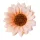 Cap de floare de floarea-soarelui din mătase, 10cm - Șampanie