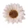 Cap de floare de floarea-soarelui din mătase, 10cm - Alb