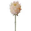Tulpină de protea din mătase, 60.5cm - Șampanie