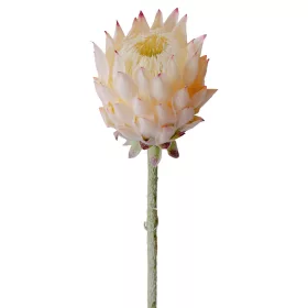 Tulpină de protea din mătase, 60.5cm - Șampanie