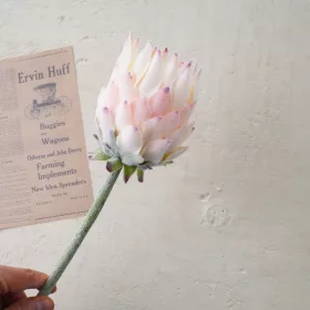 Tulpină de protea din mătase, 60.5cm - Șampanie