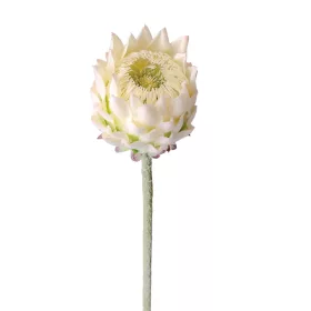 Tulpină de protea din mătase, 60.5cm - Ecru