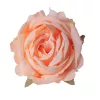 Cap de floare de trandafir din mătase, 9cm - Șampanie