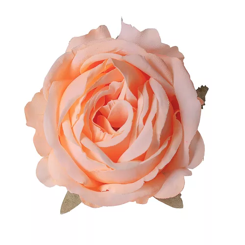 Cap de floare de trandafir din mătase, 9cm - Șampanie