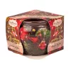 "Season of Joy" lumânare parfumată cu aromă de jeleu de bomboane, pahar