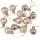 12 buc. set globuri de Crăciun 2.5cm - Șampanie