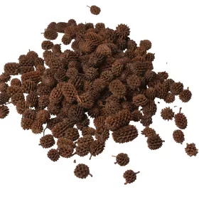 Casurina 150g/pachet - Natural