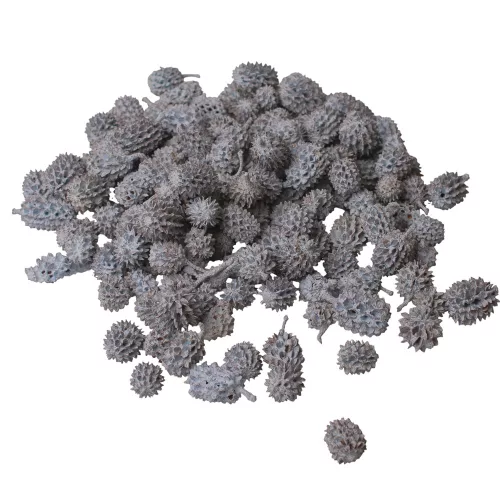 Casurina 150g/pachet - Albastru Ocean