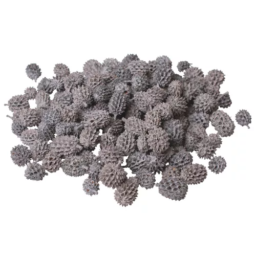 Casurina 150g/pachet - Gri Cenușă