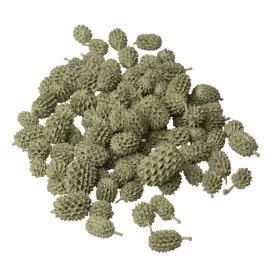 Casurina 150g/pachet - Verde Salvie