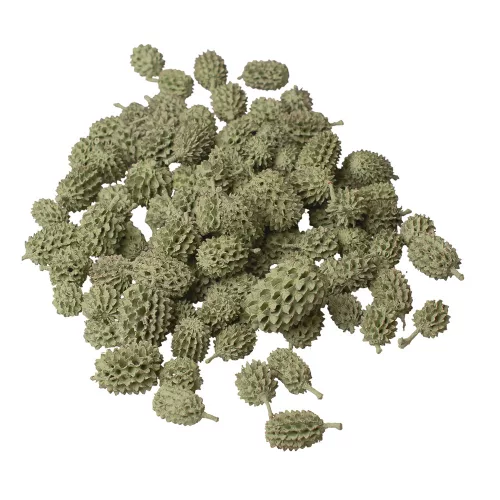 Casurina 150g/pachet - Verde Salvie