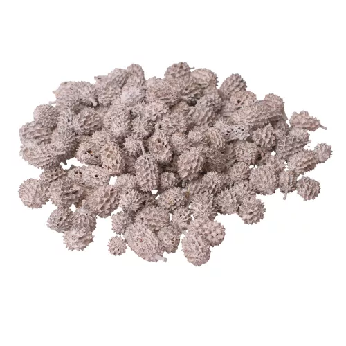 Casurina 150g/pachet - Ceai Alb