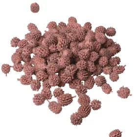 Casurina 150g/pachet - Roz Pastel