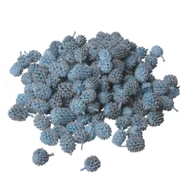 Casurina 150g/pachet - Albastru Rece