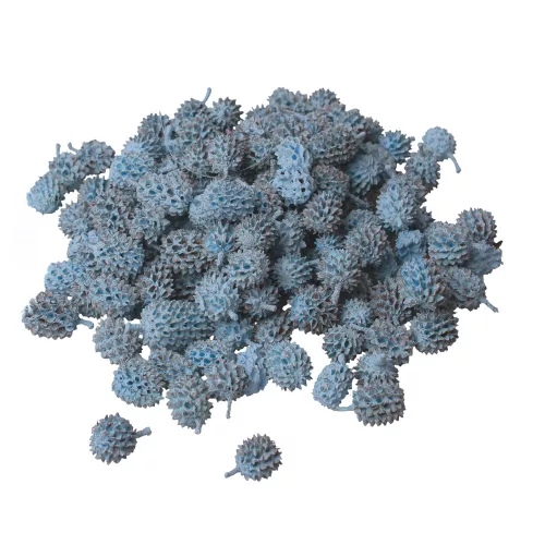 Casurina 150g/pachet - Albastru Rece