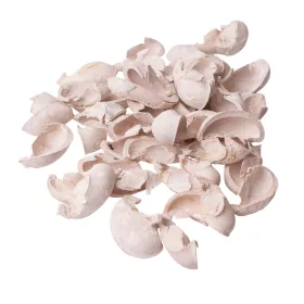 Ear Fruit 150g/pachet - Albît