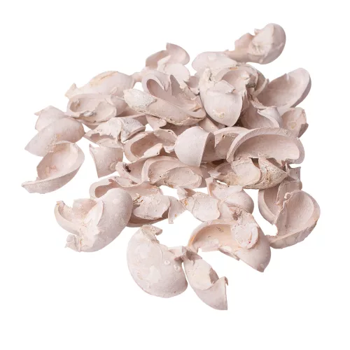 Ear Fruit 150g/pachet - Albît