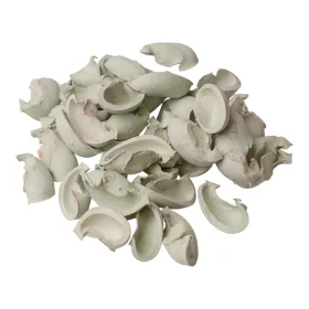 Ear Fruit 150g/pachet - Verde Salvie