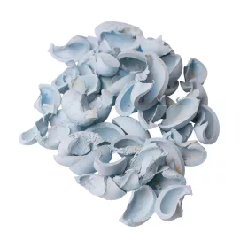 Ear Fruit 150g/pachet - Albastru Rece