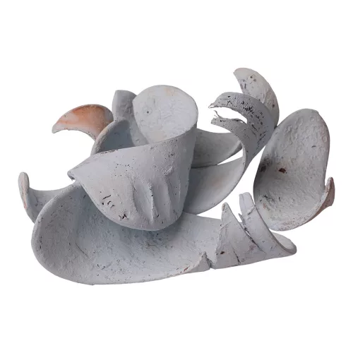 Elephant Ear 150g/pachet - Albastru Ocean