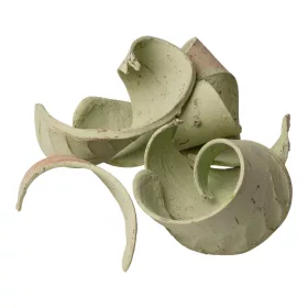 Elephant Ear 150g/pachet - Verde Salvie