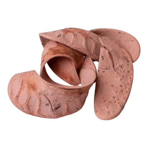 Elephant Ear 150g/pachet - Roz Pastel