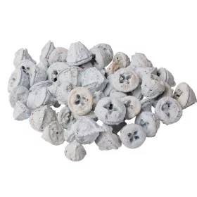 Fruct de Eucalipt 150g/pachet - Albît