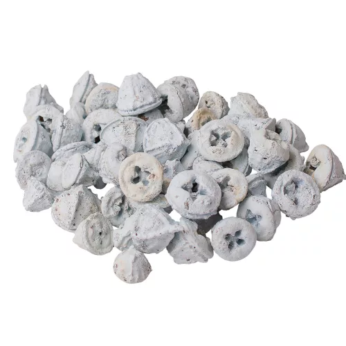 Fruct de Eucalipt 150g/pachet - Albît