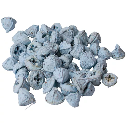 Fruct de Eucalipt 150g/pachet - Albastru Ocean